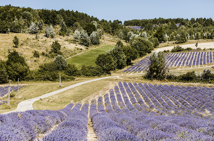 Maisons neuves Les Champs d’Aubignane à Manosque